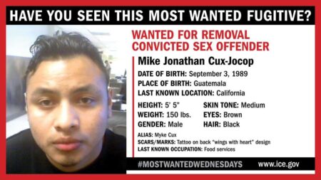 ICE Boston Arrests Armed Robbery Fugitive Wanted in Brazil
