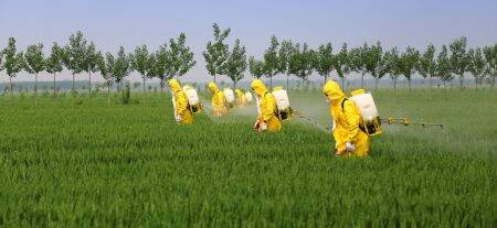 Innovative Pesticide Measurement Method in France Sparks Outrage Among Environmentalists