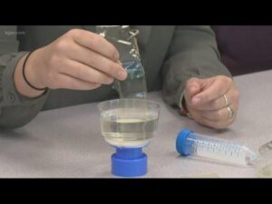 Japanese Scientists Develop Plastic That Melts Away in Seawater Within Hours