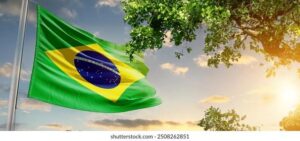 Brazil Charges Man in Shocking Killings of UK Journalist and Activist