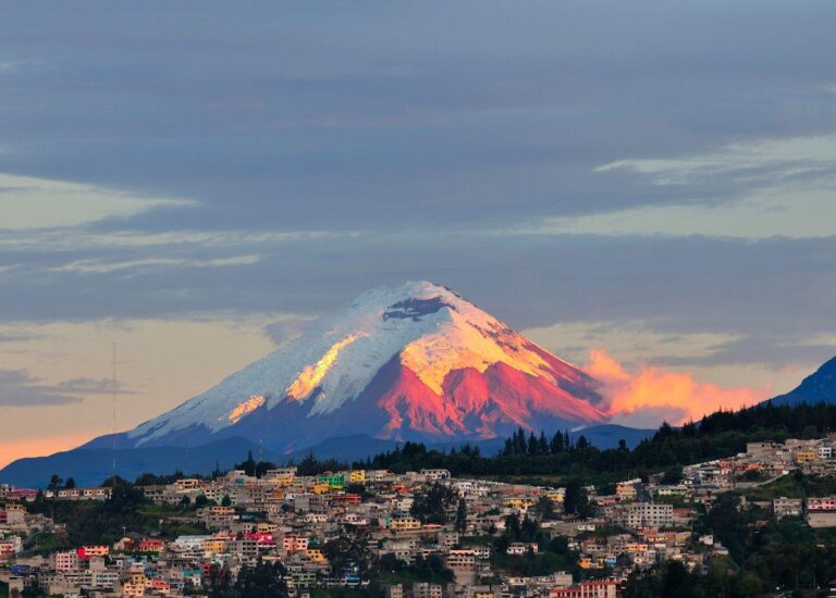 Ecuador vs. Brazil: Exciting Matchup Preview, Predictions, and Starting Lineups Revealed