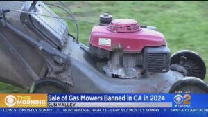 Lawn-Mower Bans Spark Fiery Village Showdowns Across France