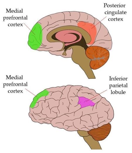 Could the Default Mode Network Be the Key to Understanding Our True Identity?