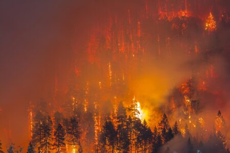 Canada’s Wildfires Have Already Scorched More Land Than Usual in a Whole Year