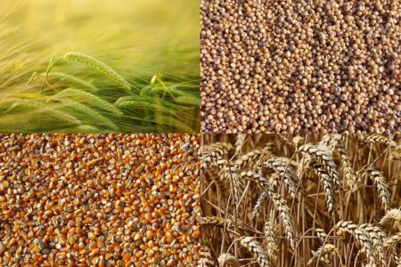 New Vietnam-U.S. Trade Deal Poses Challenge to Argentina’s Grain Supremacy, Warns Rosario Exchange