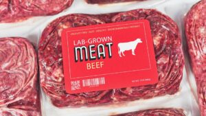 Australia’s First Lab-Grown Meat Ready to Revolutionize Menus in Just Weeks