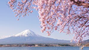 Japan Abruptly Cancels Crucial Defense Talks with US Amid Spending Dispute