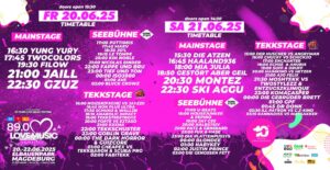 Music Festivals in France Plunged into Chaos as Syringe Attacks Raise Alarms
