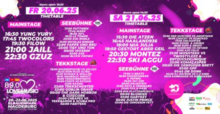 Music Festivals in France Plunged into Chaos as Syringe Attacks Raise Alarms