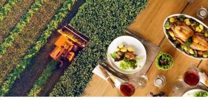 Unlocking Canada’s Agri-Food Potential in the Booming Indo-Pacific Market
