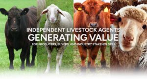 Independent Cattle Producers Gather in Deadwood for the Exciting 2025 R-CALF USA Convention