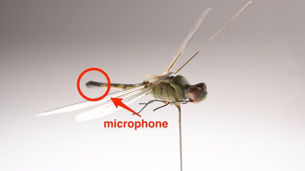 China Unveils Tiny Mosquito-Like Spy Drone Equipped with Stealthy Surveillance Technology
