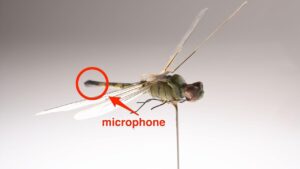 China Unveils Tiny Mosquito-Like Spy Drone Equipped with Stealthy Surveillance Technology