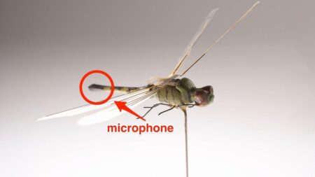 China Unveils Tiny Mosquito-Like Spy Drone Equipped with Stealthy Surveillance Technology