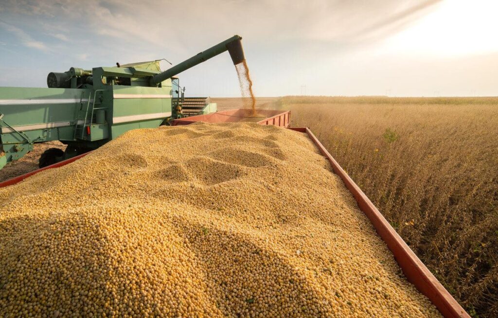 Argentina Celebrates Record-Breaking Soybean Harvest Completion