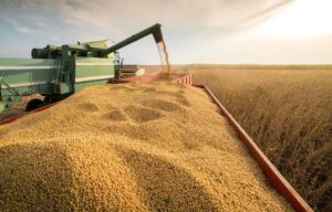 Argentina Celebrates Record-Breaking Soybean Harvest Completion