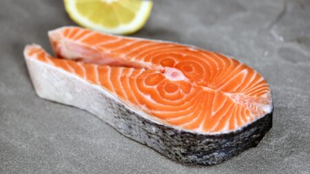 Chilean Salmon Prices in Brazil Soften Midweek in Week 27