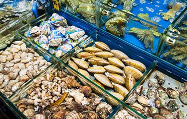 China Opens Doors to Japanese Seafood Imports, Unlocking Exciting New Trade Opportunities