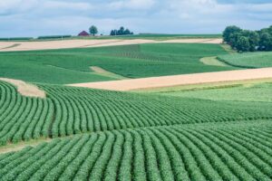 Cargill Boosts Its Presence with Major Investment in Brazil’s Thriving Soybean Industry