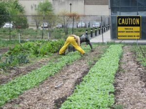 Farming Crisis 2025: Uncovering the Major Challenges Threatening US and UK Agriculture