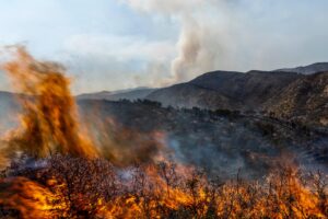 Video: Massive Wildfires Engulf Spain in Fiery Fury