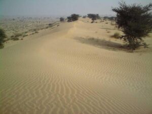 Surviving the Scorch: Life’s Remarkable Resilience in India’s Hottest Place