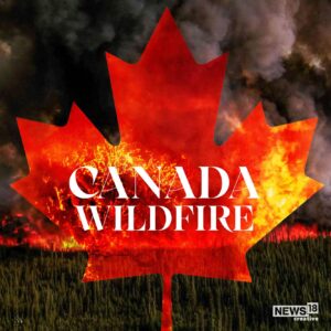 Half of Canada Plunged into Severe Drought: Can We Find the Will to Act Before It’s Too Late?