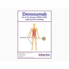 Celltrion USA Launches Innovative Denosumab Biosimilars STOBOCLO® and OSENVELT® in the U.S