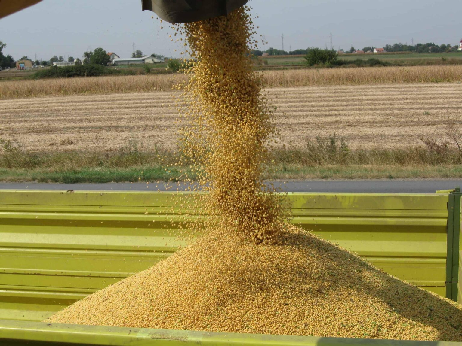Argentina Completes Soybean Harvest Amid Rapid Wheat Growth Fueled by Cold Spell Argentina Completes Soybean Harvest Amid Rapid Wheat Growth Fueled by Cold Spell