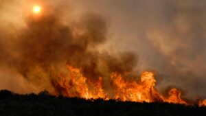 Widespread Wildfire Smoke Triggers Air Quality Alerts in Toronto, Montreal, and Across the U.S