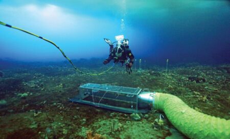 Massive Swell Set to Hit Australia’s Southern Coast, Bringing Hope to Clear Devastating Toxic Algal Bloom