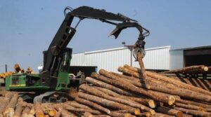 The Rising Lumber Trade Battle Between the US and Canada: What’s Fueling the Clash?
