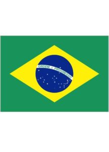 Brazil to Team Up with South Africa in Landmark Genocide Case Against Israel