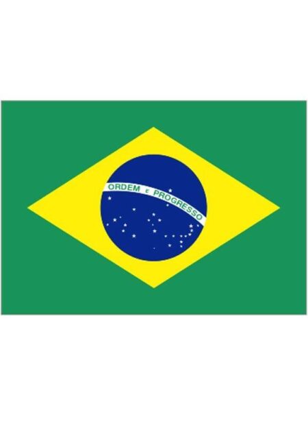 Brazil to Team Up with South Africa in Landmark Genocide Case Against Israel
