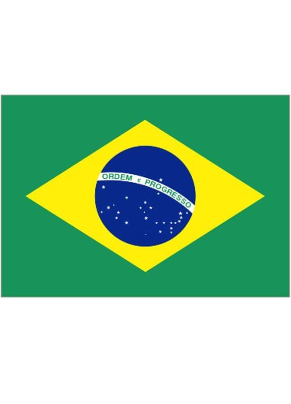 Brazil to Team Up with South Africa in Landmark Genocide Case Against Israel