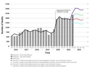 Why Canada Isn’t to Blame for America’s Fentanyl Crisis