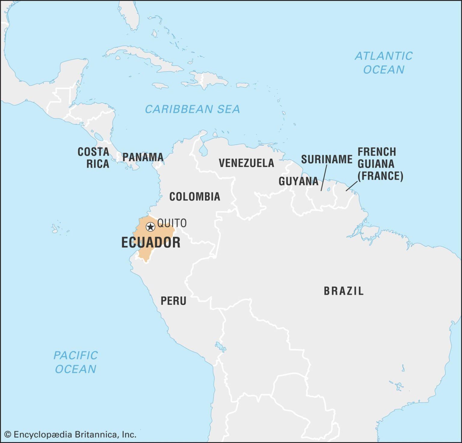 Watch Ecuador vs. Argentina Live Today: Free Streaming of Copa América Femenina Action!