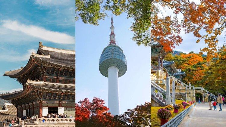South Korea Strikes Historic Trade Deal with the United States