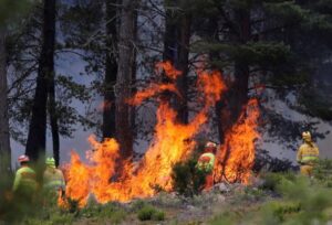 Spain on High Alert as Fierce Wildfires Consume Thousands of Hectares
