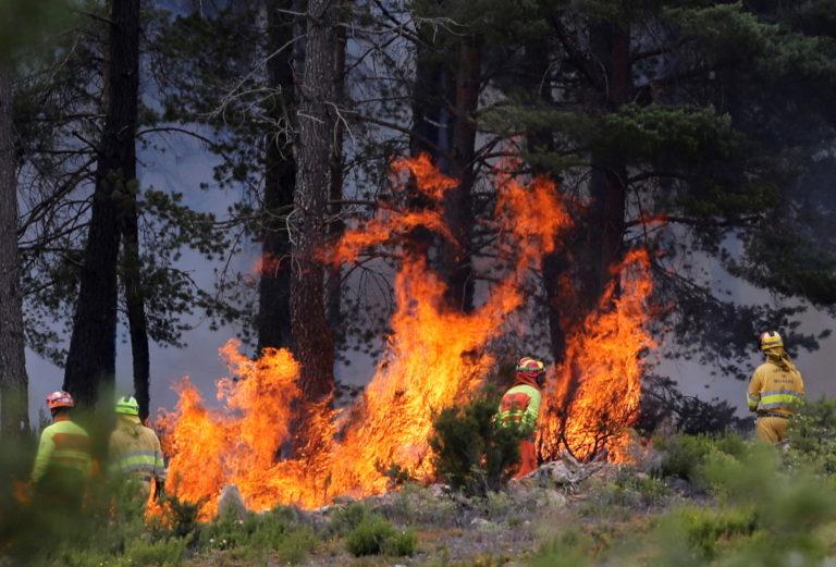 Spain on High Alert as Fierce Wildfires Consume Thousands of Hectares