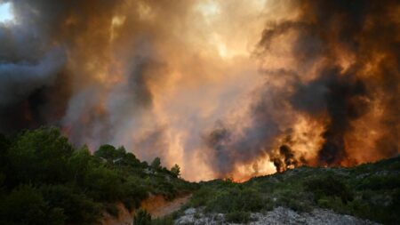Raging Inferno: France Battles Its Most Devastating Wildfire of the Year