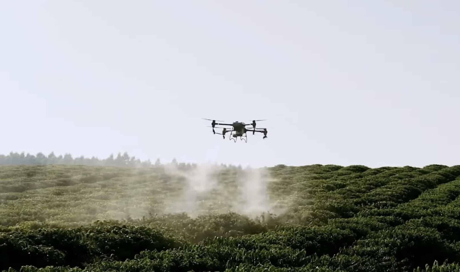 China Unleashes High-Tech Arsenal: Drones and ‘Elephant Mosquitoes’ Join the Fight Against Deadly Virus