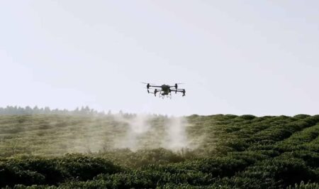 China Unleashes High-Tech Arsenal: Drones and ‘Elephant Mosquitoes’ Join the Fight Against Deadly Virus