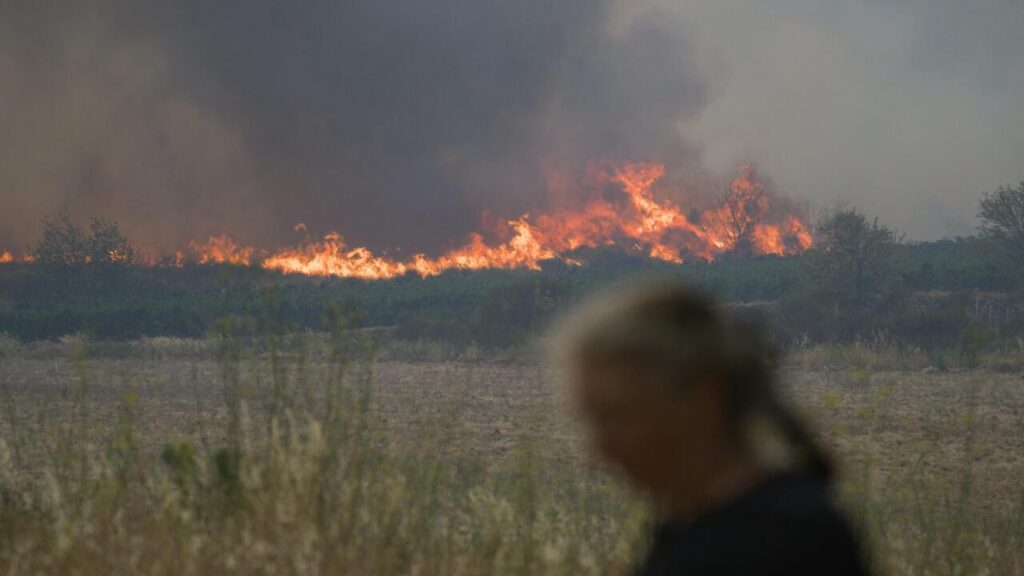 Massive French Wildfire Contained After Devastating 16,000 Hectares