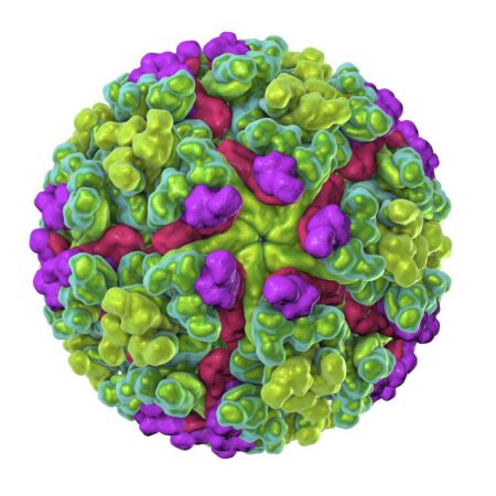 Taiwan Reports Its First Chikungunya Virus Case Tied to China Outbreak