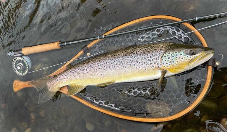 Trout Whisperer: Unlock the Gentle Art of Fishing in Spain