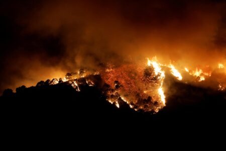 Thousands Flee as Fierce Wildfires Rage Across Spain Amid Intense Heatwave