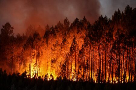 Essential Wildfire Insurance Tips Every Atlantic Canada Resident Should Know