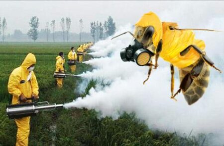 France Takes a Bold Stand with New Law Banning Bee-Killing Pesticides