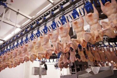 Saudi Arabia and Chile Poised to Resume Poultry Imports from Brazil